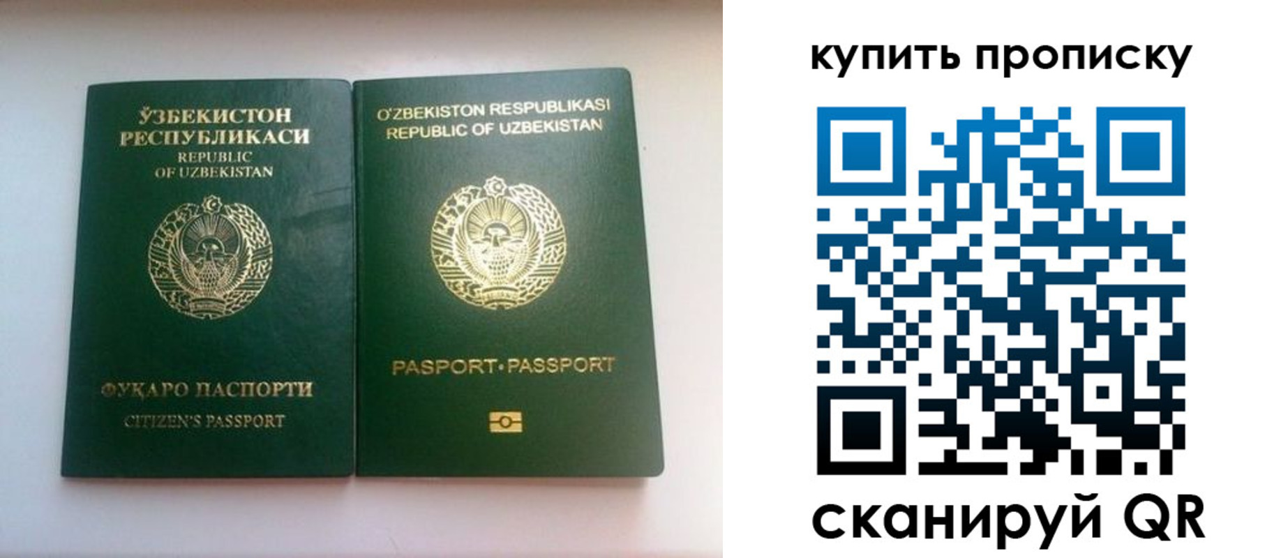 временная прописка в Курганинске